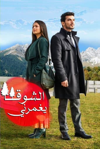 Pardes Mein Hai Mera Dil poster