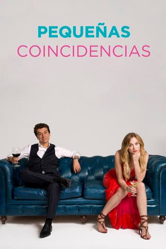 Little Coincidences poster