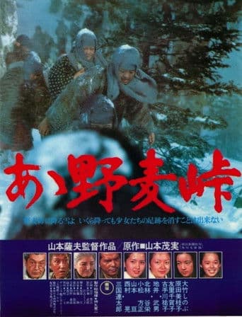 Nomugi Pass poster