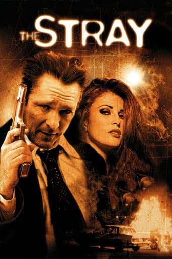The Stray poster