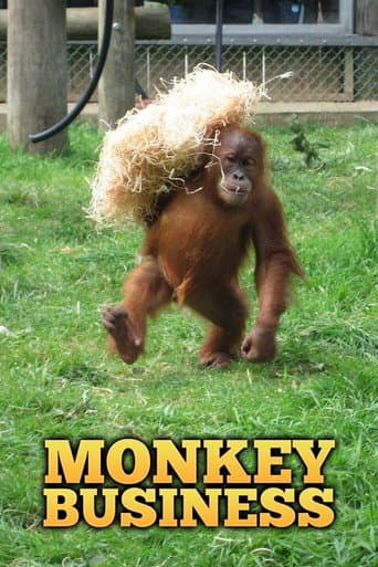 Monkey Business poster