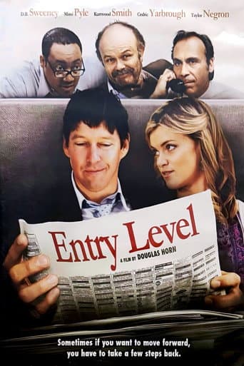 Entry Level poster