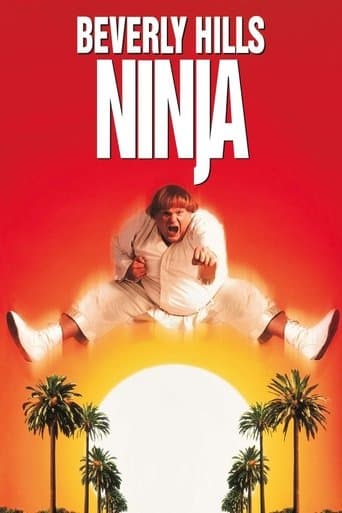 Beverly Hills Ninja poster