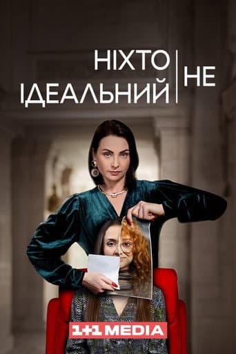 Nobody Is Perfect poster