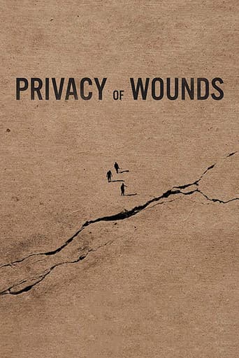 Privacy of Wounds poster