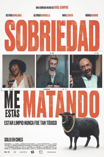 Dear Sobriety: You're Killing Me poster