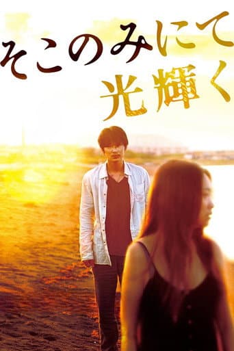 The Light Shines Only There poster