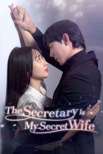 The Secretary Is My Secret Wife poster