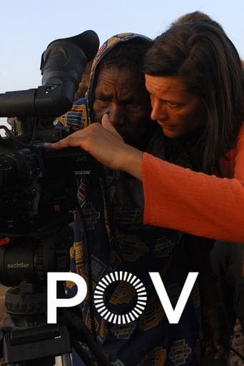 POV poster