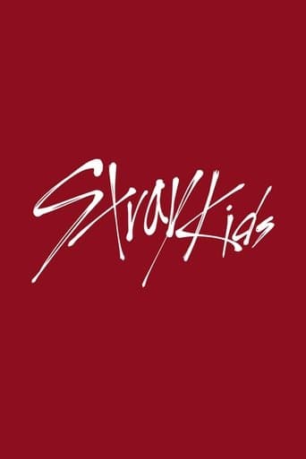 SKZ-TALKER poster