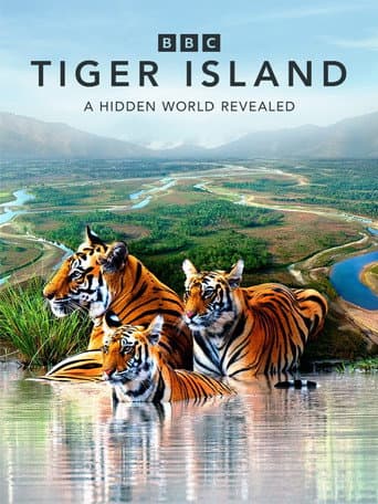 Tiger Island poster