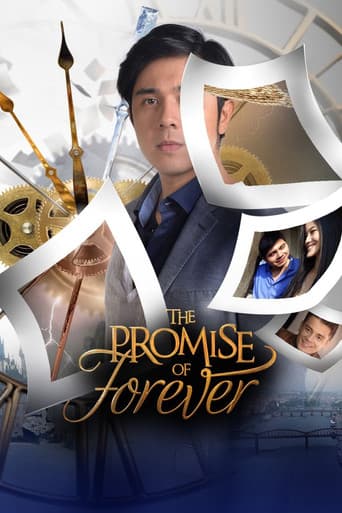 The Promise of Forever poster