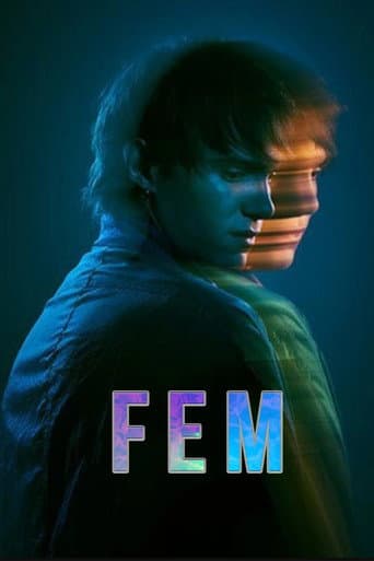 FEM poster